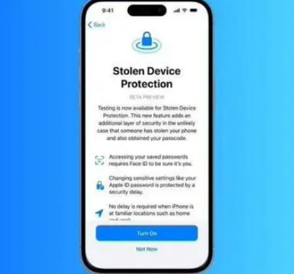 华坪苹果授权维修店分享被盗设备保护功能开启方法 