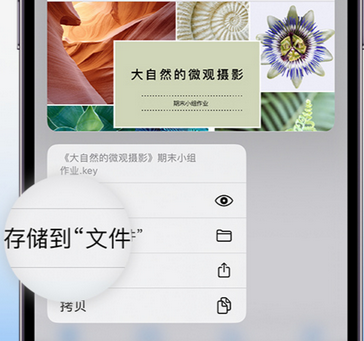 华坪apple维修中心分享iPhone文件应用中存储和找到下载文件