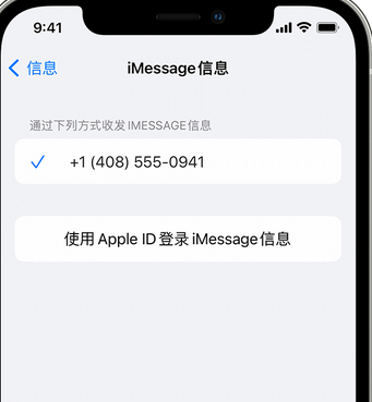 华坪apple维修iPhone上无法正常发送iMessage信息 