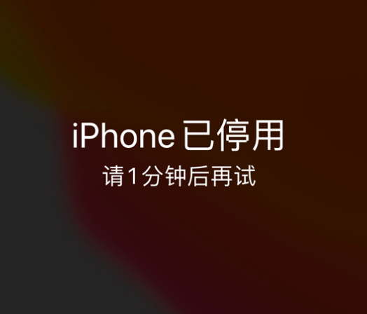 华坪苹果手机维修分享:iPhone 显示“不可用”或“已停用”怎么办？还能保留数据吗？ 