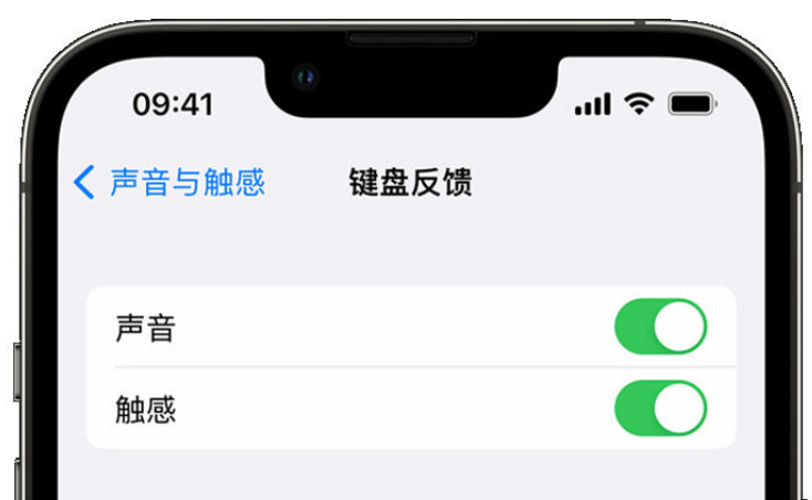 华坪苹果手机维修分享iPhone 14触感键盘使用方法 