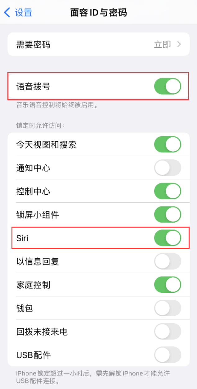 华坪苹果维修网点分享不解锁 iPhone 的情况下通过 Siri 拨打电话的方法 