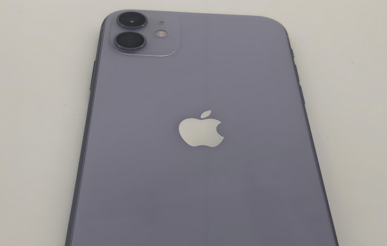 华坪苹果11系统维修分享iPhone11手机系统崩溃无法开机如何解决 